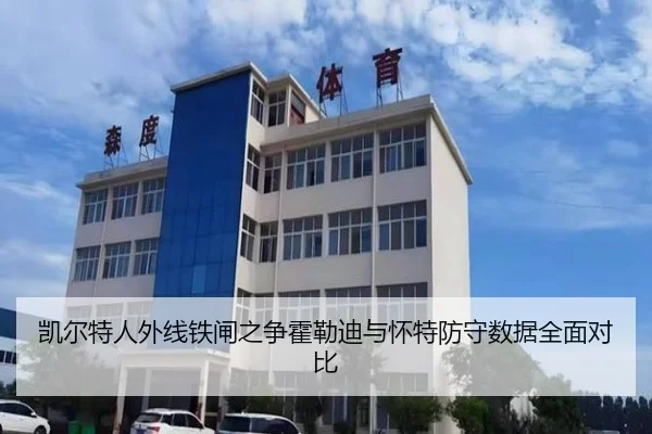 凯尔特人外线铁闸之争霍勒迪与怀特防守数据全面对比